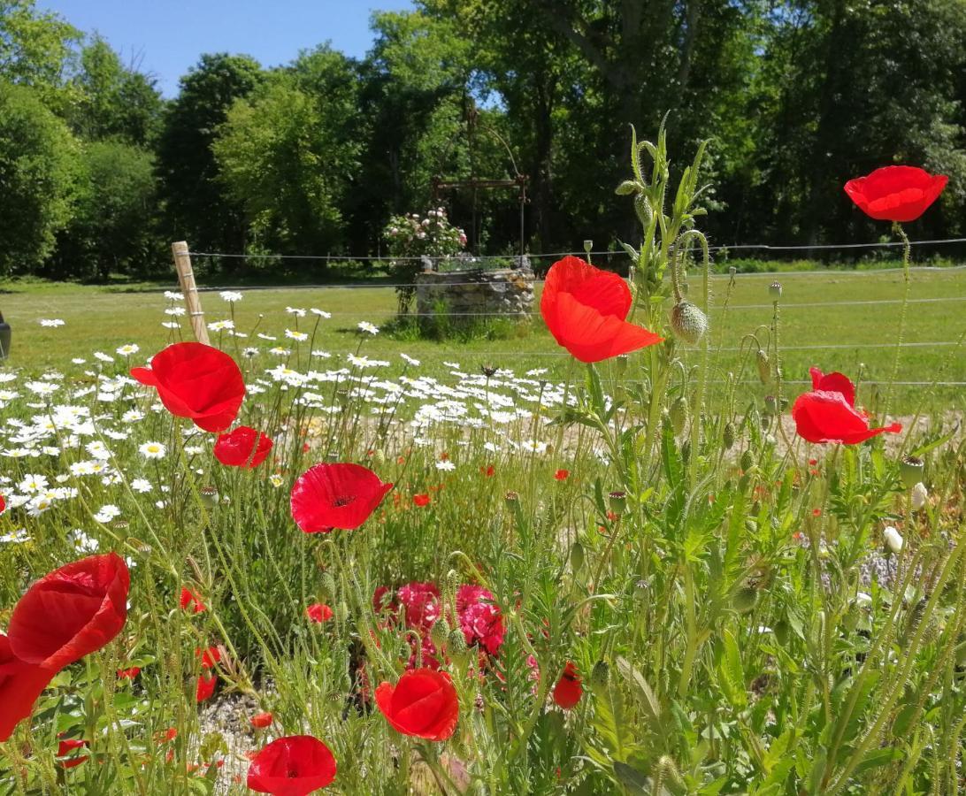 Chateau De Courmelois Champagne Guest House Val de Vesle Bagian luar foto