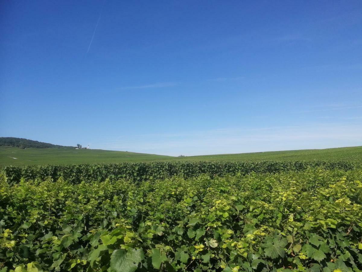 Chateau De Courmelois Champagne Guest House Val de Vesle Bagian luar foto