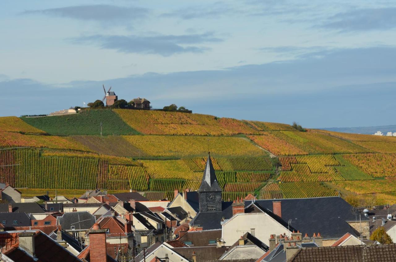 Chateau De Courmelois Champagne Guest House Val de Vesle Bagian luar foto